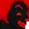 PowerKonsen Donald