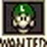 Find Luigi