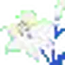 Lily White/Black