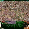 👩‍💻My Mugen Matrix Museum Roster w/ 15k Chars (Part 2)