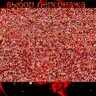 Battle Of The Best Fighters Mugen w/ 8,142 Chars!