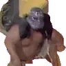 The Shockmaster (Mr_Nowo13 mini edit)