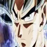 The Will of Ultra Instinct