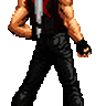 Black Terry