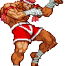 Adon