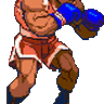 Mike Bison/Balrog