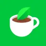Naver Cafe Collection Pack 8/15/2026