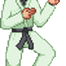 auto-combo kung fu man