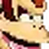 Donkey Kong ZS