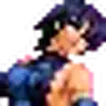 Shiki